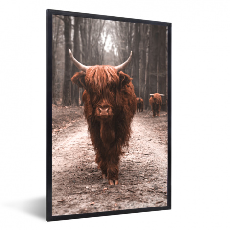 Poster met lijst - Schotse hooglander - Bos - Koe - Dieren - Natuur - Staand-1