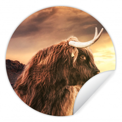 Behangcirkel - Schotse hooglander - Zon - Horizon - Koe - Dieren