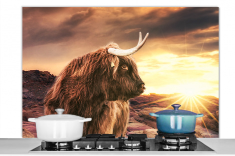 Spatscherm keuken - Schotse hooglander - Zon - Horizon - Koe - Dieren-1
