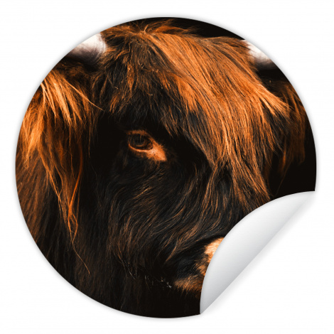 Runde Tapete - Schottischer Highlander - Schwarz - Kuh - Horn - Tiere
