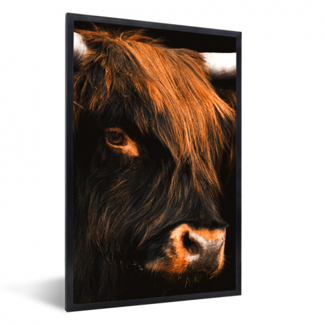 Poster met lijst - Schotse hooglander - Zwart - Koe - Hoorn - Dieren - Staand