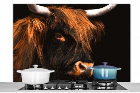 Spatscherm keuken - Schotse hooglander - Zwart - Koe - Hoorn - Dieren-1
