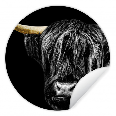 Runde Tapete - Schottischer Highlander - Gold - Mantel - Tiere - Kuh