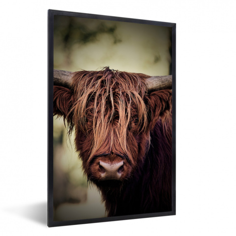 Poster met lijst - Schotse hooglander - Licht - Portret - Natuur - Staand-1