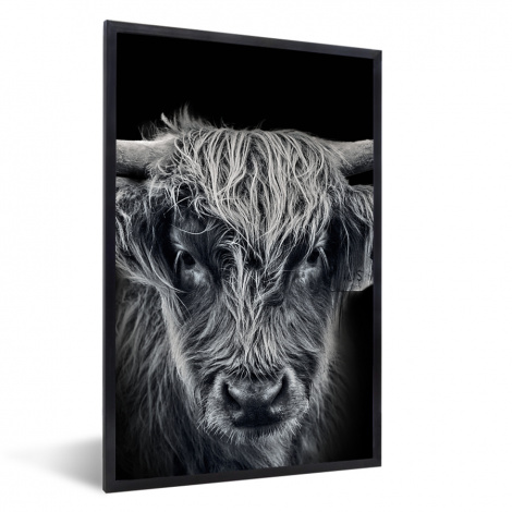 Poster met lijst - Schotse hooglander - Zwart - Koe - Dieren - Staand-1