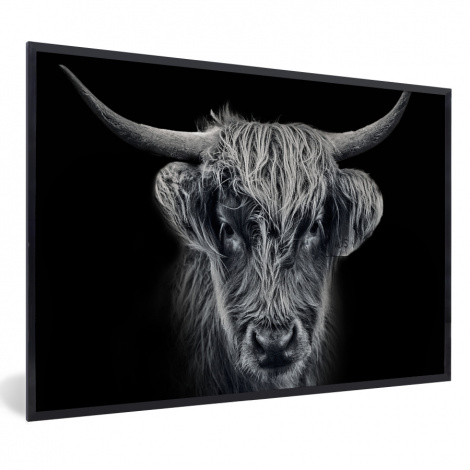 Poster met lijst - Schotse hooglander - Zwart - Koe - Dieren - Liggend