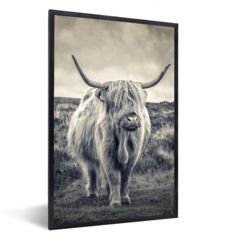 Poster met lijst - Schotse hooglander - Dieren - Wolken - Koe - Natuur - Staand