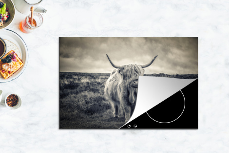 Inductiebeschermer - Schotse hooglander - Dieren - Wolken - Koe - Natuur-4