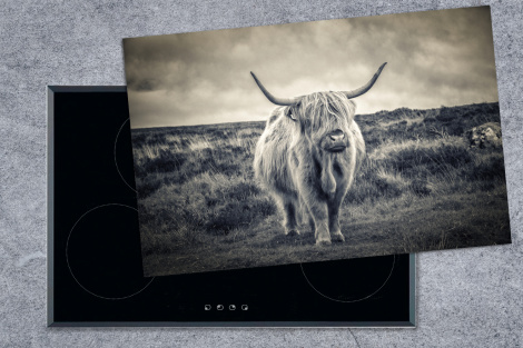 Protège-plaque à induction - Highlander écossais - Animaux - Nuages - Vache - Nature-1