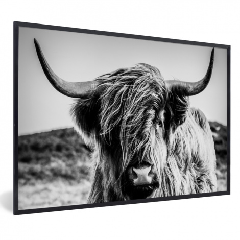 Poster met lijst - Schotse hooglander - Natuur - Koe - Zwart - Wit - Liggend-thumbnail-1