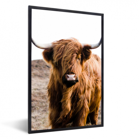 Poster met lijst - Schotse hooglander - Landschap - Koe - Bruin - Dieren - Natuur - Staand-thumbnail-1
