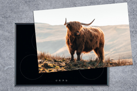 Inductiebeschermer - Schotse hooglander - Dieren - Landelijk - Landschap - Koe - Natuur-1