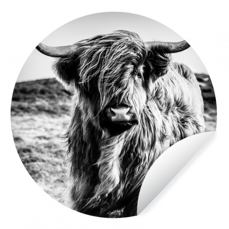 Behangcirkel - Schotse hooglander - Natuur - Koe - Zwart - Wit-1