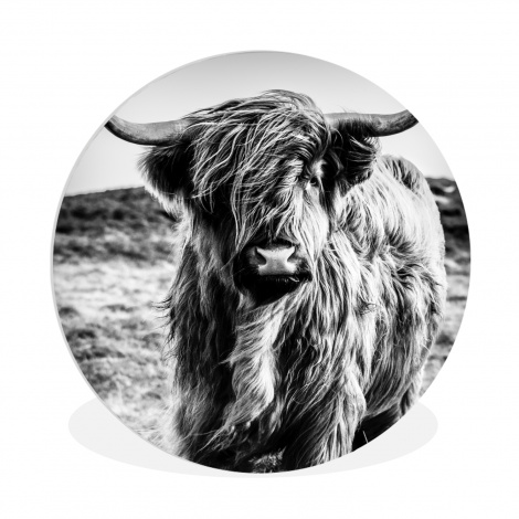 Runde Bilder - Schottischer Highlander - Natur - Kuh - Schwarz - Weiß-1
