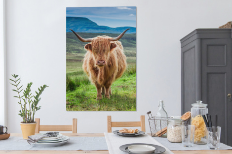 Canvas - Schotse hooglander - Koe - Natuur - Berg - Gras-thumbnail-4