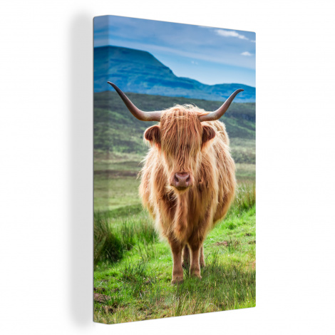 Canvas - Schotse hooglander - Koe - Natuur - Berg - Gras-thumbnail-1