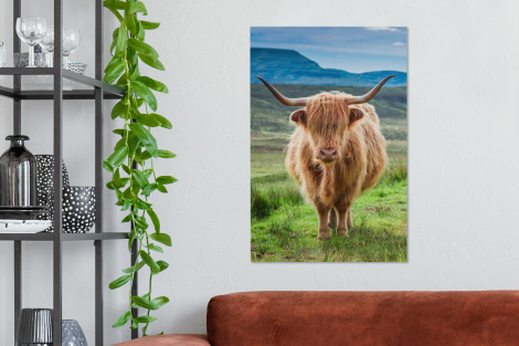 Canvas - Schotse hooglander - Koe - Natuur - Berg - Gras-2