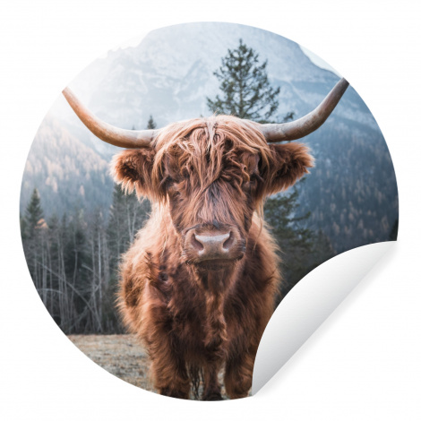 Runde Tapete - Schottischer Hochländer - Kuh - Tiere - Berg - Natur