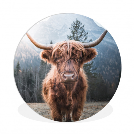 Runde Bilder - Schottischer Hochländer - Kuh - Tiere - Berg - Natur-1