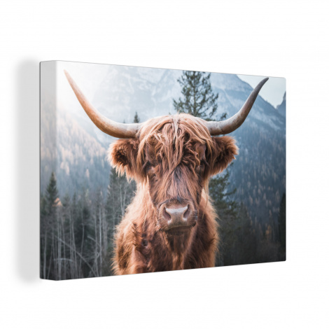Canvas - Schotse hooglander - Koe - Dieren - Berg - Natuur