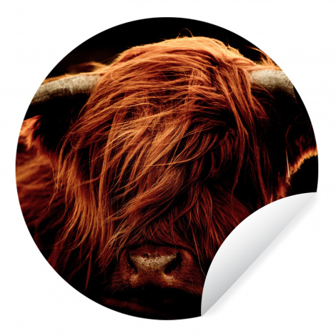 Runde Tapete - Schottischer Highlander - Kuh - Hörner - Porträt - Tiere-1