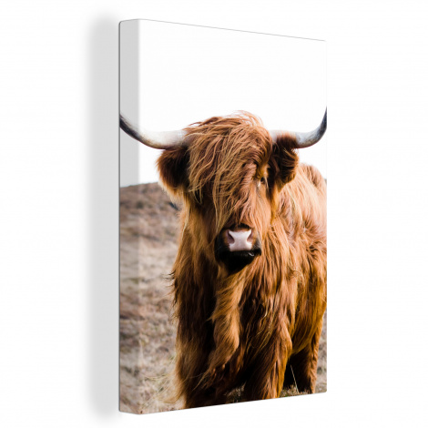 Canvas - Schotse hooglander - Landschap - Koe - Bruin-thumbnail-1