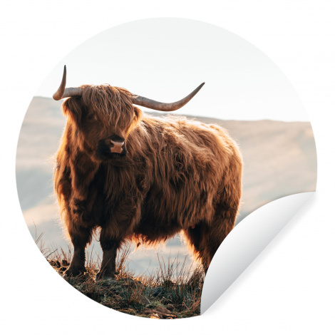 Runde Tapete - Schottische Highlander - Tiere - Ländlich - Landschaft - Kuh - Natur