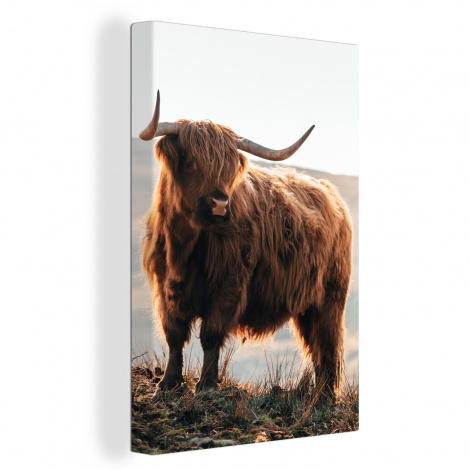 Canvas - Schotse hooglander - Dieren - Landelijk - Landschap-1