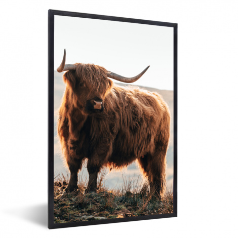 Poster met lijst - Schotse hooglander - Dieren - Landelijk - Landschap - Koe - Natuur - Staand-1