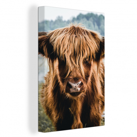 Canvas - Koeien - Schotse hooglander - Bruin - Natuur-1