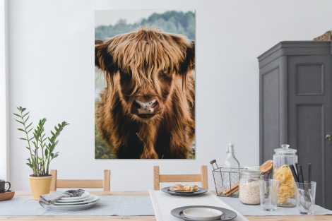 Canvas - Koeien - Schotse hooglander - Bruin - Natuur-4