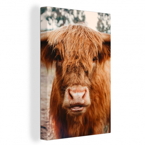 Canvas schilderij - Koeien - Schotse hooglander - hoorns - Bruin - Landschap-1