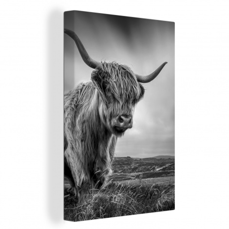 Leinwand - Kühe - Schottische Highlander - Natur - Tiere-1