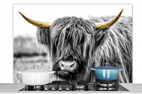 Spatscherm keuken - Schotse hooglander - Hoorns - Goud - Zwart