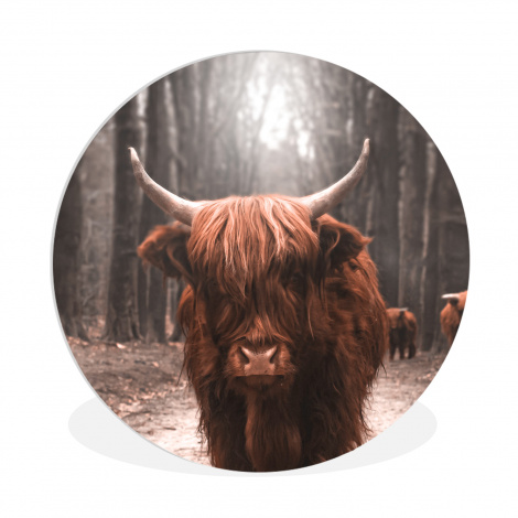 Runde Bilder - Schottischer Hochländer - Wald - Kuh - Tiere - Natur