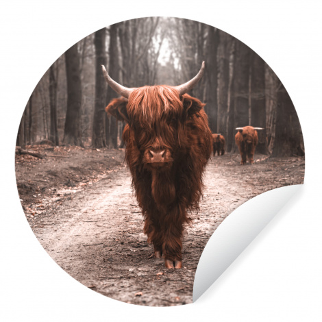 Runde Tapete - Schottischer Hochländer - Wald - Kuh - Tiere - Natur-1