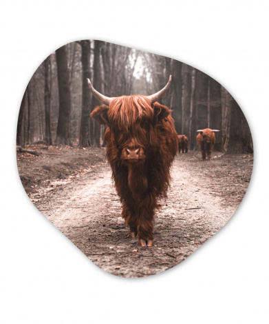 Organisches wandbild - Tiere - Schottische Highlander - Wald-thumbnail-1