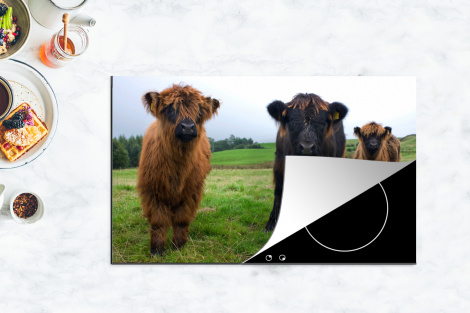 Inductiebeschermer - Schotse hooglander - Koeien - Natuur - Groen - Gras-thumbnail-4