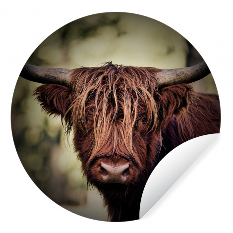 Behangcirkel - Schotse hooglander - Licht - Portret - Natuur-thumbnail-1