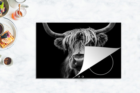 Inductie beschermer - Close-up van een Schotse hooglander in zwart wit-thumbnail-4