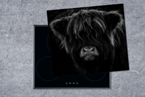 Inductiebeschermer - Donker portret Schotse hooglander - zwart wit-thumbnail-1