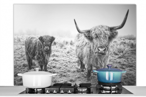 Spritzschutz Küche - Eingeschneite schottische Highlander - schwarz und weiß