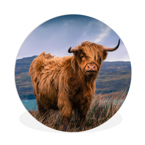 Runde Bilder - Schottischer Highlander - Berg - Wasser - Natur - Kuh