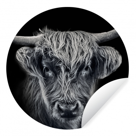 Behangcirkel - Schotse hooglander - Zwart - Koe - Dieren-thumbnail-1