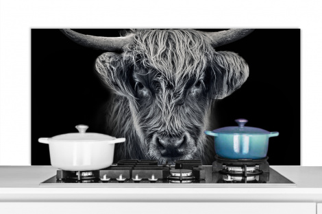 Spatscherm keuken - Schotse hooglander - Zwart - Koe - Dieren-1
