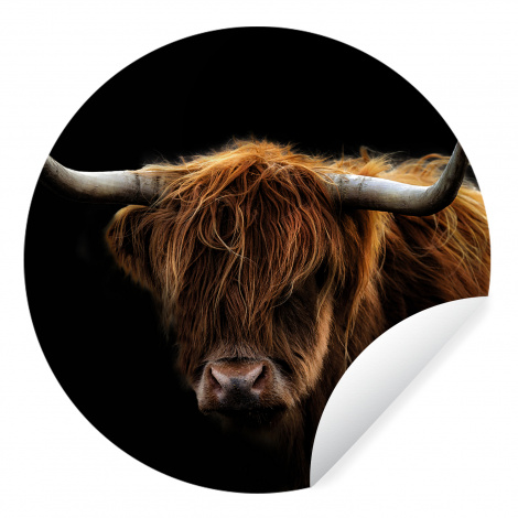 Behangcirkel - Schotse Hooglander - Horens - Zwart - Dieren - Natuur - Wild - Koe-thumbnail-1
