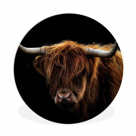 Runde Bilder - Schottischer Highlander - Hörner - Schwarz - Tiere - Natur - Wild - Kuh