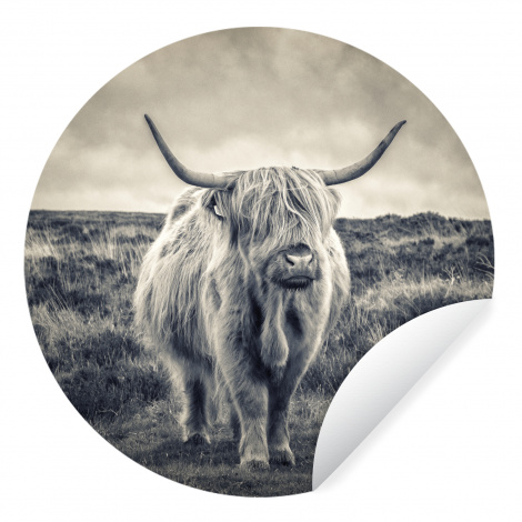 Behangcirkel - Schotse hooglander - Dieren - Wolken - Koe - Natuur-thumbnail-1