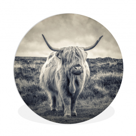 Runde Bilder - Schottischer Hochländer - Tiere - Wolken - Kuh - Natur