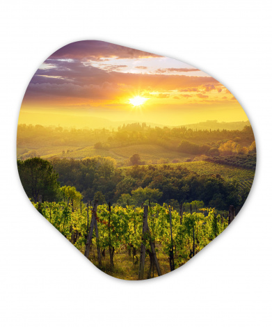 Organisches wandbild - Toskana - Italien - Weinstöcke-thumbnail-1